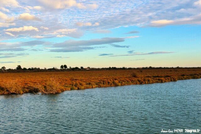 Camargue Sansouire ©J-Luc Moya 2 Degrés