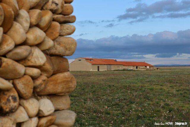 Crau Peau de Meau (5) ©J-Luc Moya 2 Degrés