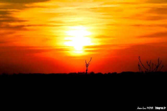 Marais du Vigueirat coucher de soleil (2) © Jean-Luc Moya • 2° Communication