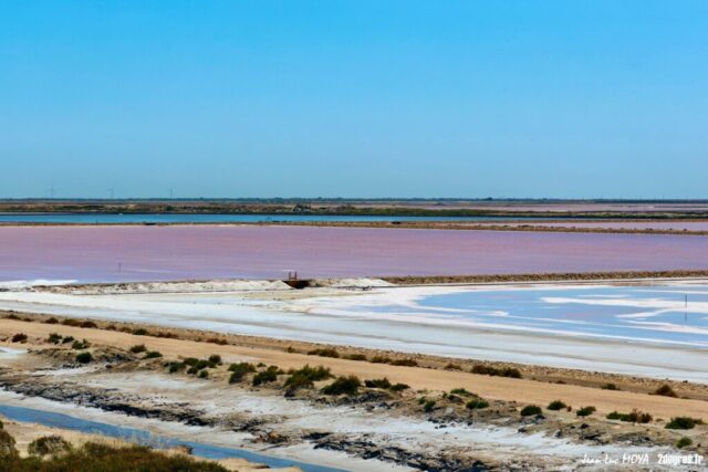 Marais salants © Jean-Luc Moya • 2° Communication