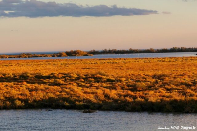 Sansouire Camargue ©J-Luc Moya 2 Degrés